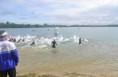 /album/triathlon-de-st-cyr/tri-st-cyr-4-jpg/